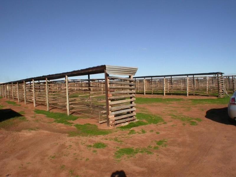 398a Cowanna Avenue, Merbein VIC 3505