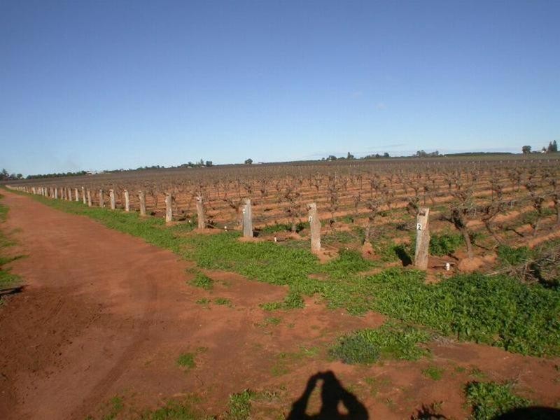 398a Cowanna Avenue, Merbein VIC 3505