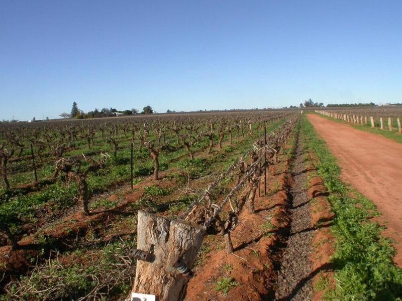 398a Cowanna Avenue, Merbein VIC 3505