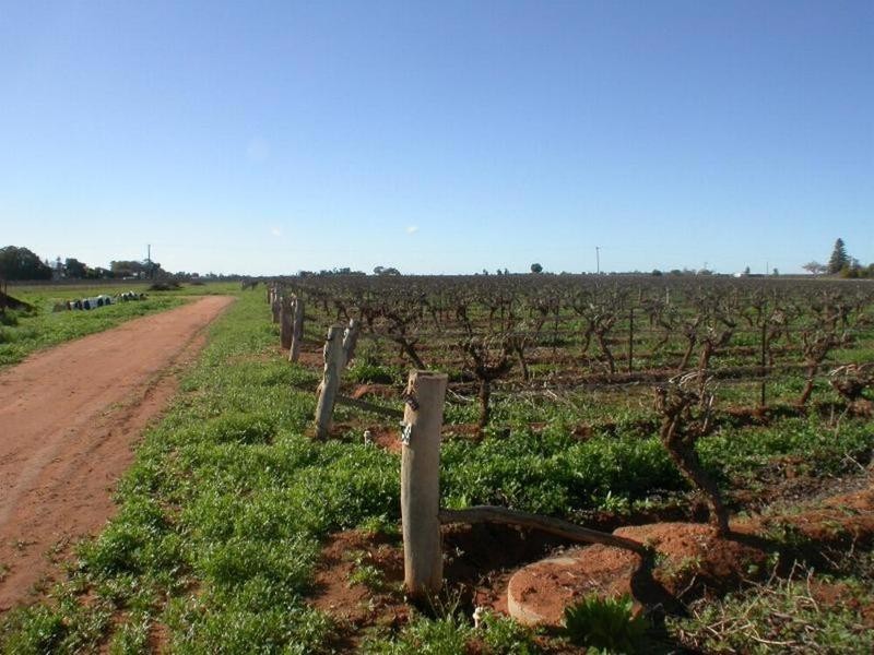 398a Cowanna Avenue, Merbein VIC 3505