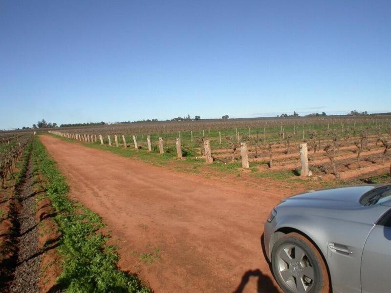 398a Cowanna Avenue, Merbein VIC 3505