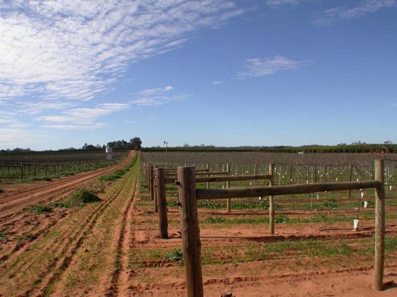 Lot 1  Lewis Road, Colignan VIC 3494