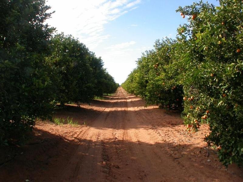 Lot 1  Lewis Road, Colignan VIC 3494