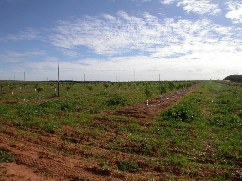 Lot 1  Lewis Road, Colignan VIC 3494