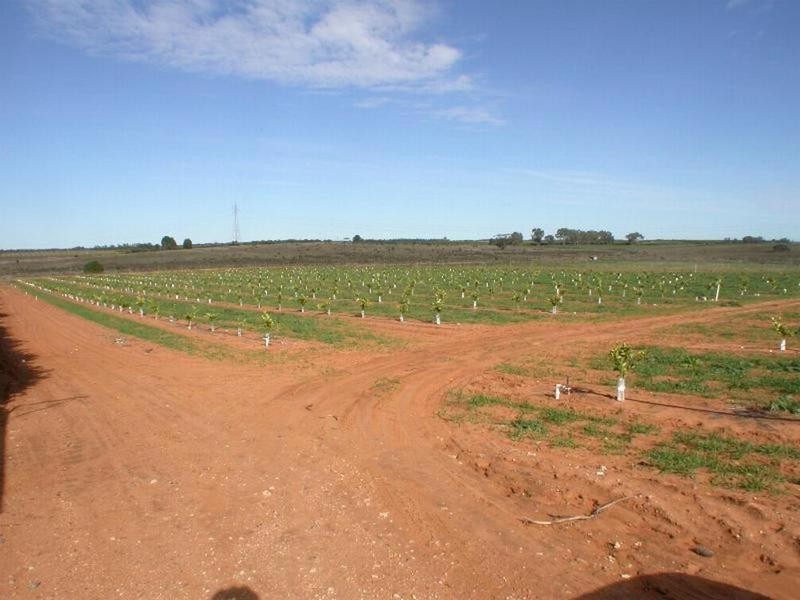 Lot 1  Lewis Road, Colignan VIC 3494