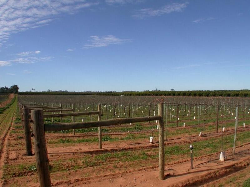 Lot 1  Lewis Road, Colignan VIC 3494