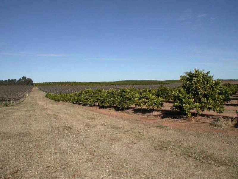 Lot 1 Kulkyne Way, Colignan VIC 3494