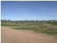 Lot 1 Kulkyne Way, Colignan VIC 3494