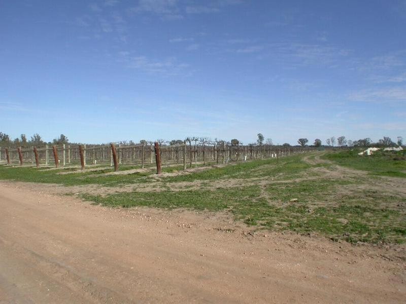 Lot 1 Kulkyne Way, Colignan VIC 3494