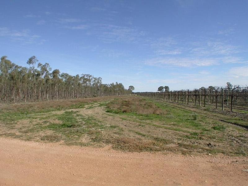 Lot 1 Kulkyne Way, Colignan VIC 3494