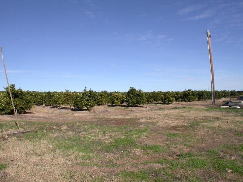 Lot 1 Kulkyne Way, Colignan VIC 3494