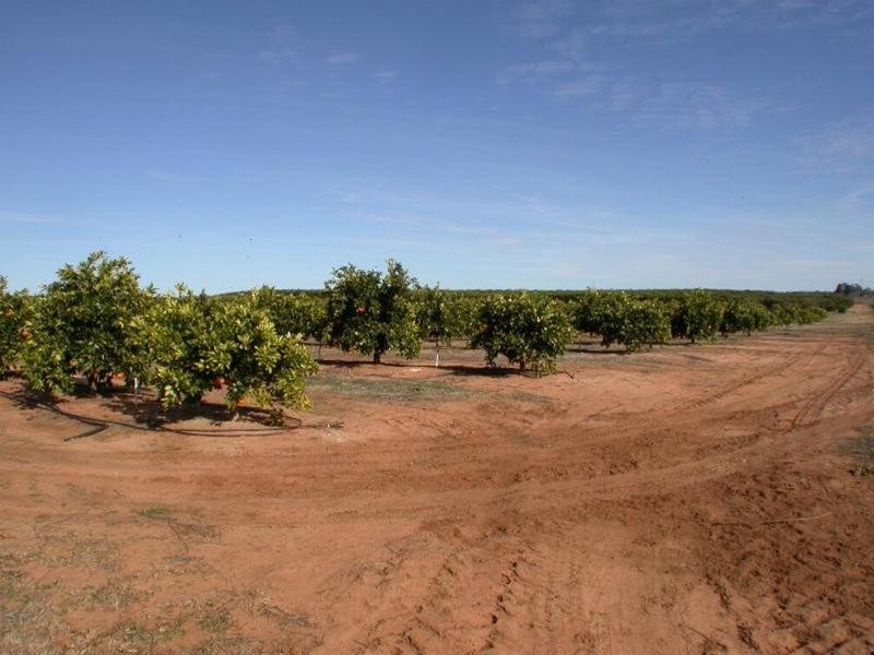 Cnr Lewis & Boonoonar Road, Colignan VIC 3494