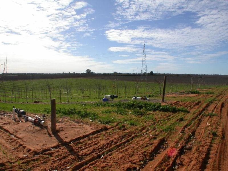 Cnr Lewis & Boonoonar Road, Colignan VIC 3494