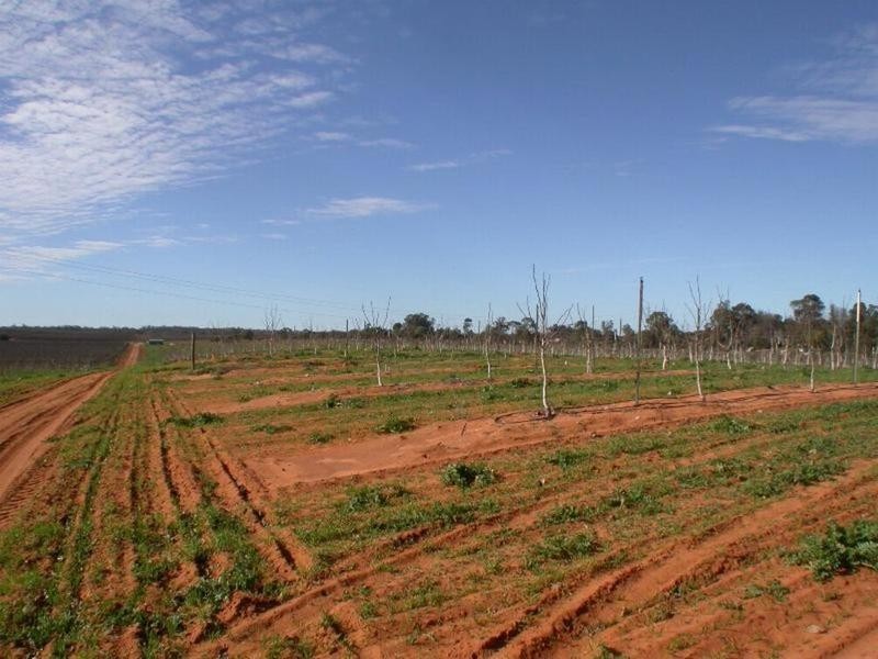 Cnr Lewis & Boonoonar Road, Colignan VIC 3494