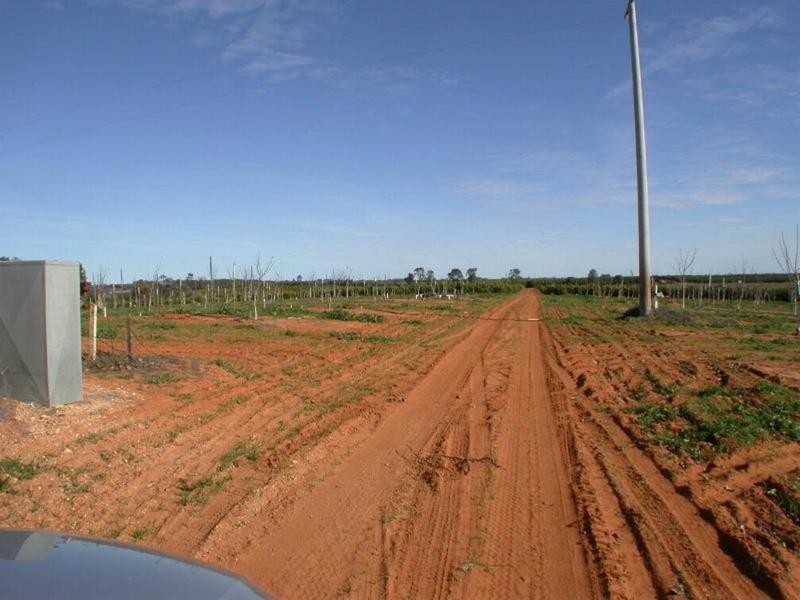 Cnr Lewis & Boonoonar Road, Colignan VIC 3494