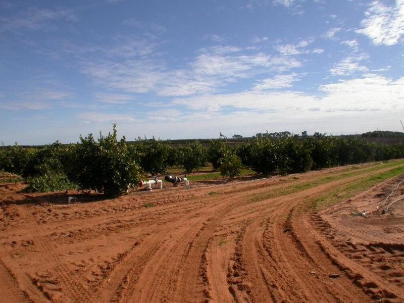 Cnr Lewis & Boonoonar Road, Colignan VIC 3494