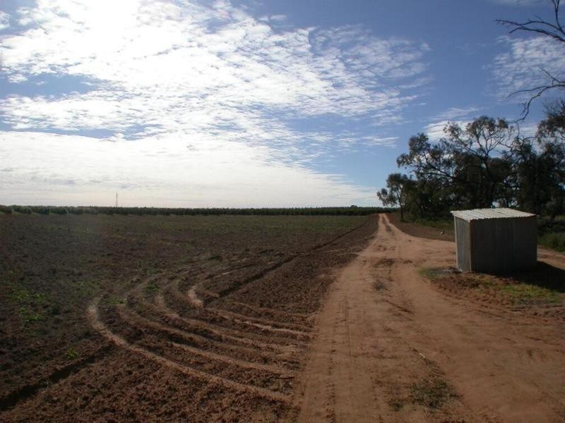 Cnr Lewis & Boonoonar Road, Colignan VIC 3494