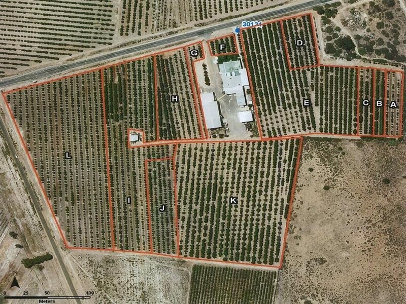 Lots 26 & 47 Silver City Highway, Curlwaa NSW 2648