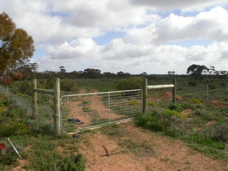 166 Fifth Street, Merbein West VIC 3505