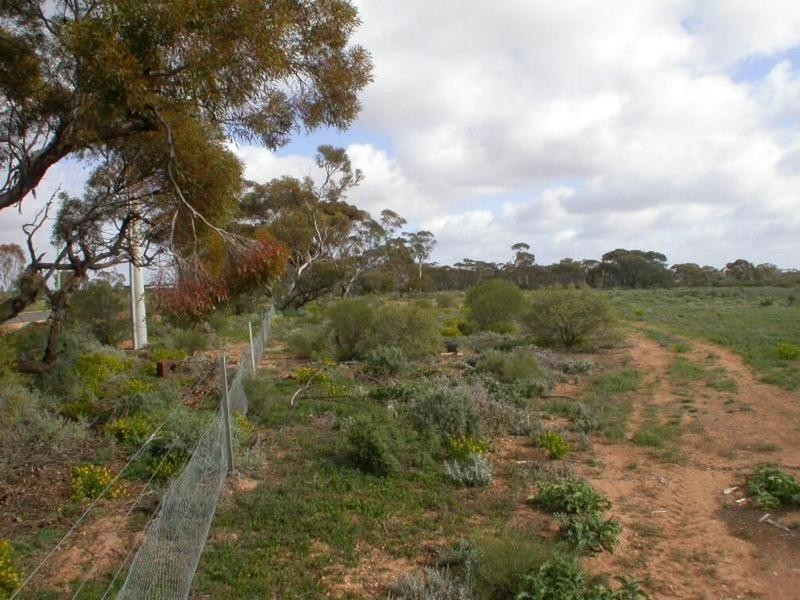 166 Fifth Street, Merbein West VIC 3505