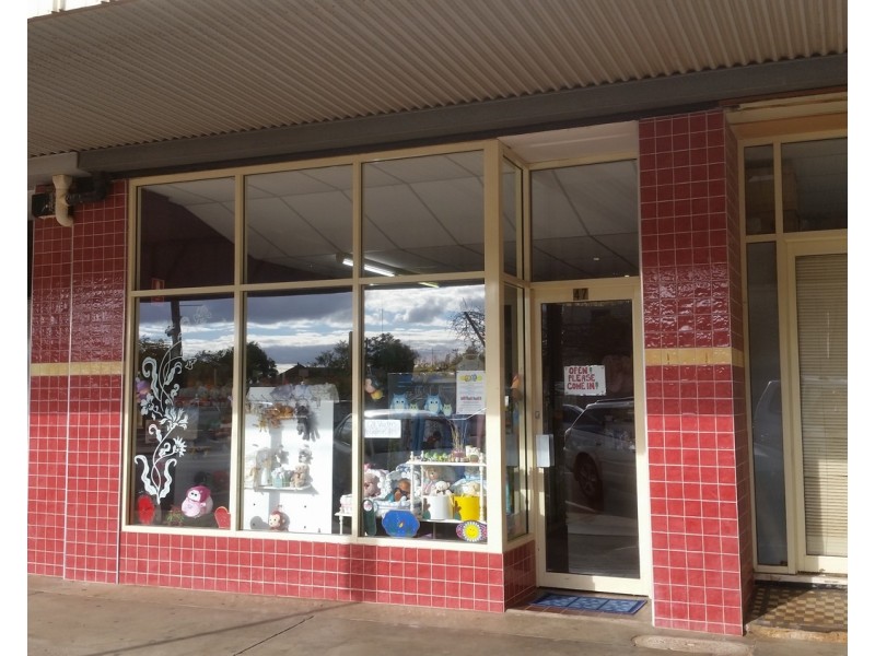 47 Ilex Street, Red Cliffs VIC 3496