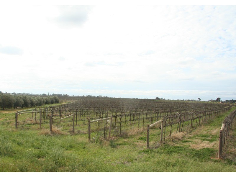 Block 520 Cnr West Cliffs & Dairtnunk Street, Cardross VIC 3496