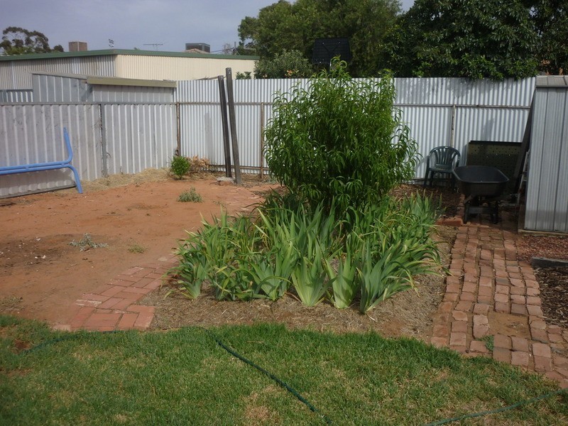 153 Almond Avenue, Mildura VIC 3500