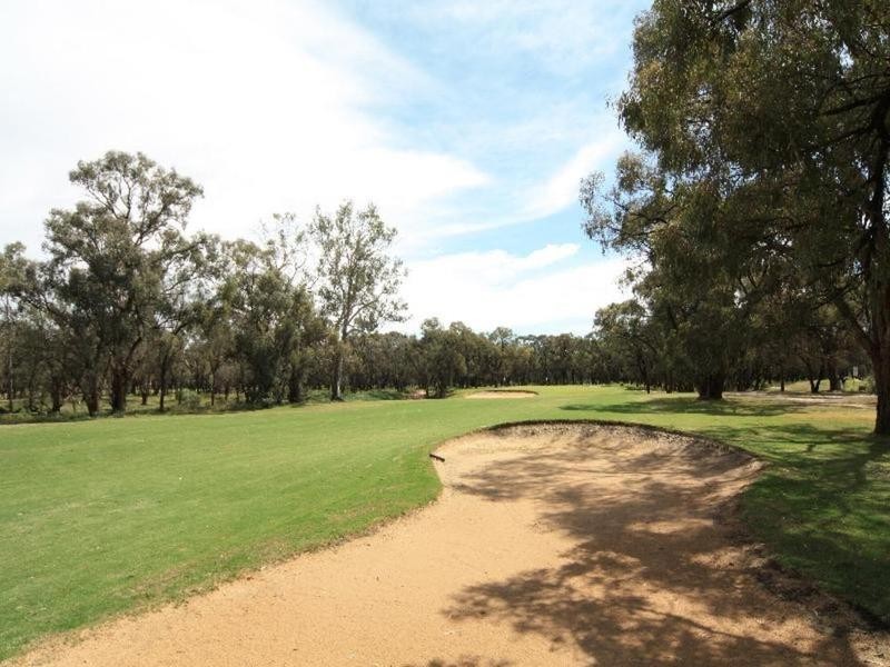 39 Riverview Drive, Dareton NSW 2717