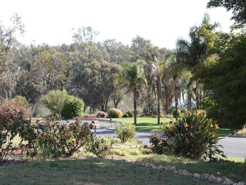39 Riverview Drive, Dareton NSW 2717