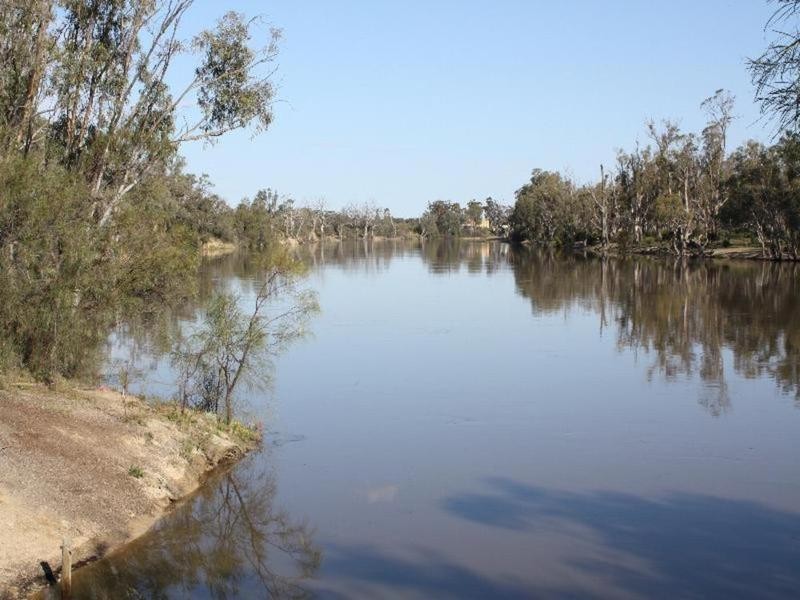 39 Riverview Drive, Dareton NSW 2717