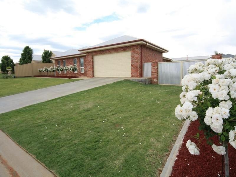 4 Robert Court, Gol Gol NSW 2738