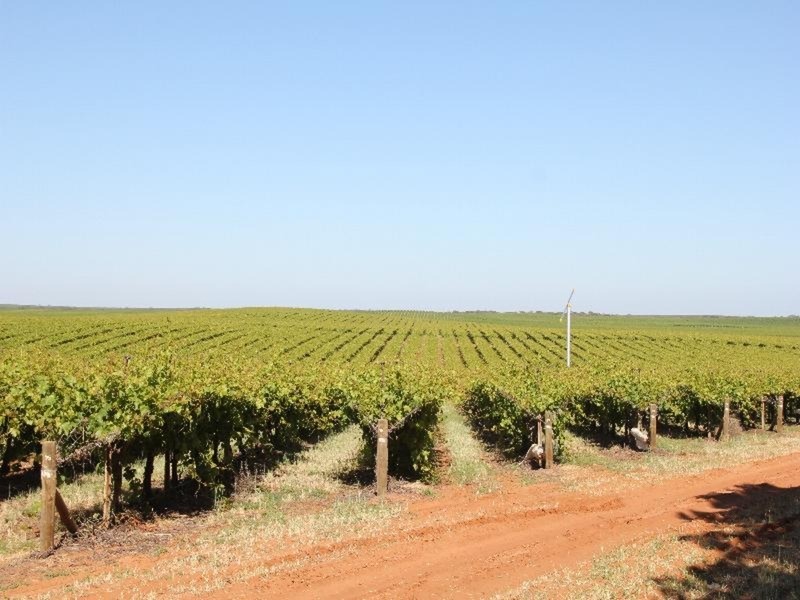 669-693 Kenley Road, Boundary Bend VIC 3599