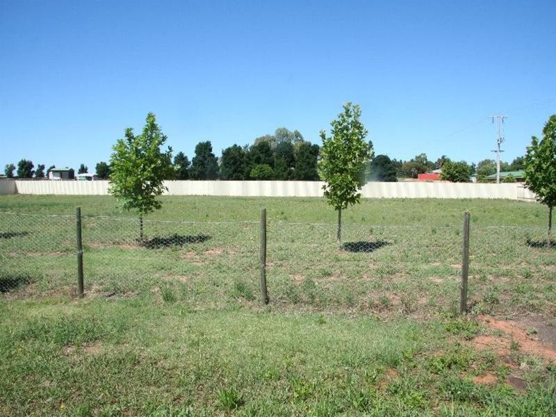 1094 Sandilong Avenue, Irymple VIC 3498