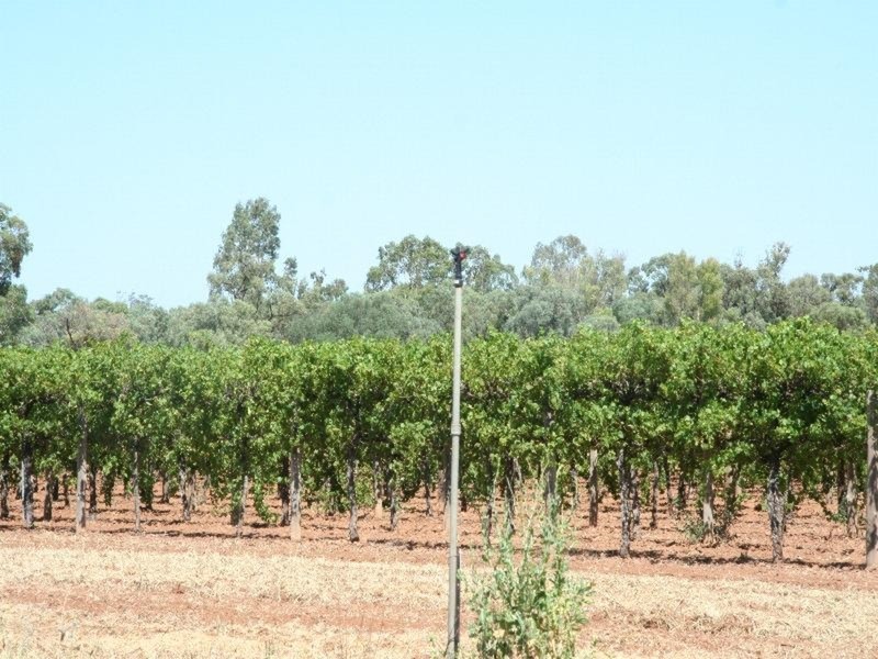 423 Cureton Avenue, Nichols Point VIC 3501