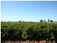 216 Cocklin Avenue, Red Cliffs VIC 3496