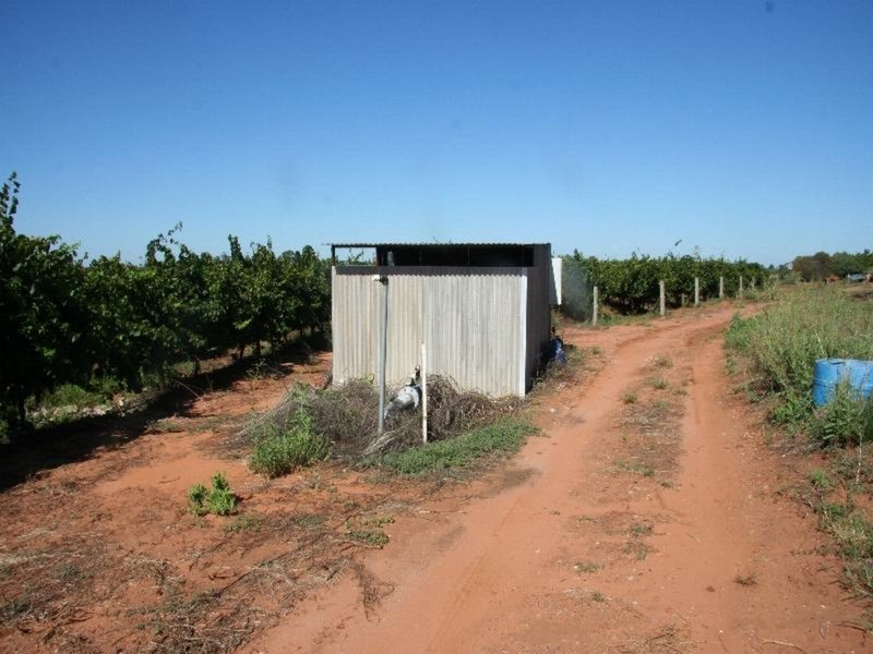 216 Cocklin Avenue, Red Cliffs VIC 3496