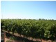 216 Cocklin Avenue, Red Cliffs VIC 3496