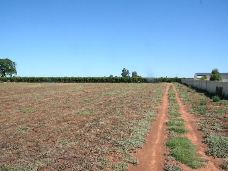 216 Cocklin Avenue, Red Cliffs VIC 3496