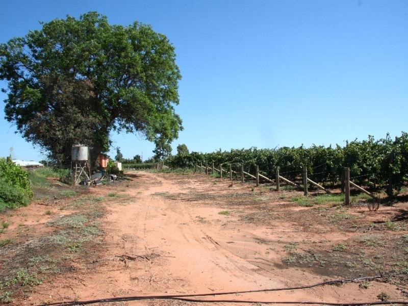 216 Cocklin Avenue, Red Cliffs VIC 3496