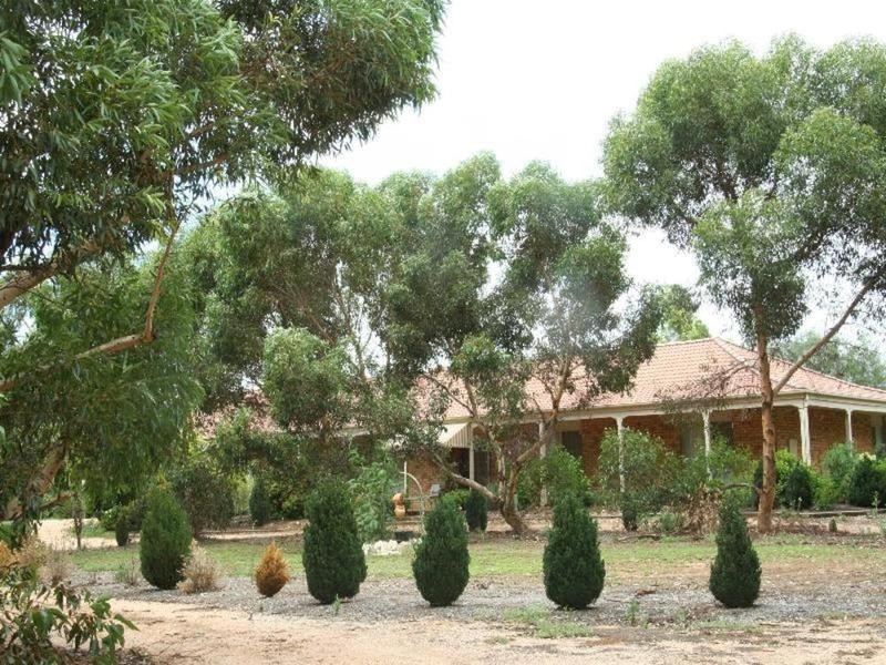 10 Regina Avenue, Cabarita VIC 3505