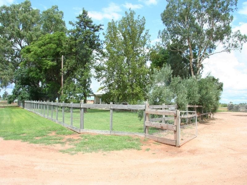 91 Nealie Street, Red Cliffs VIC 3496