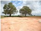 91 Nealie Street, Red Cliffs VIC 3496