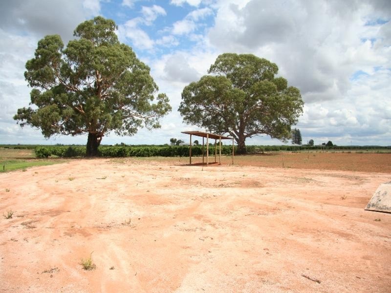 91 Nealie Street, Red Cliffs VIC 3496