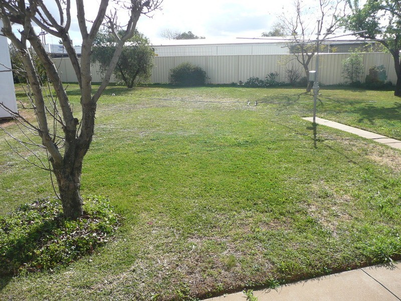 29 Avocado Street, Mildura VIC 3500