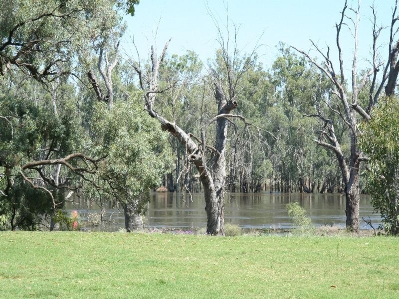 498 River Road, Dareton NSW 2717