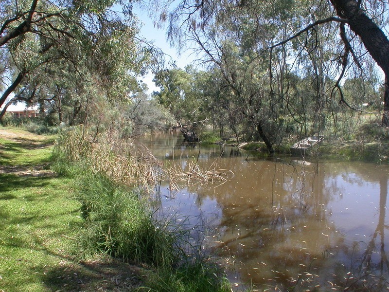 95 Wilga Road, Gol Gol NSW 2738