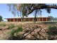 95 Wilga Road, Gol Gol NSW 2738