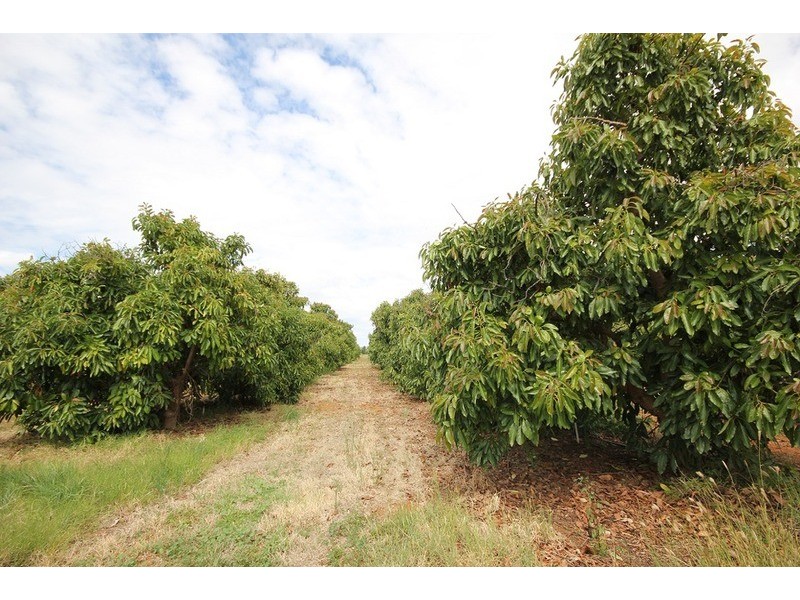 0 Rodwells Road, Merbein VIC 3505