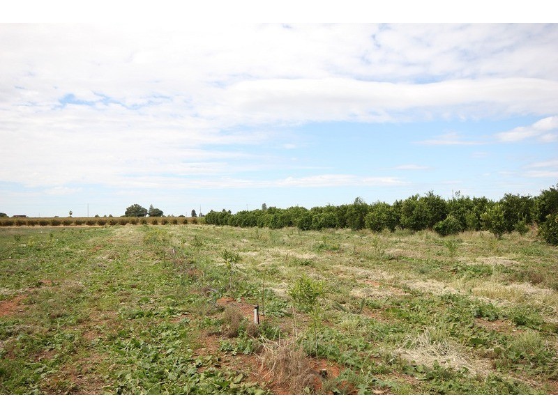 0 Rodwells Road, Merbein VIC 3505