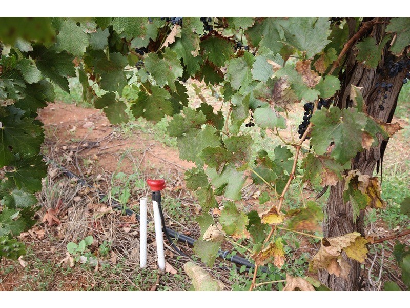 0 Rodwells Road, Merbein VIC 3505